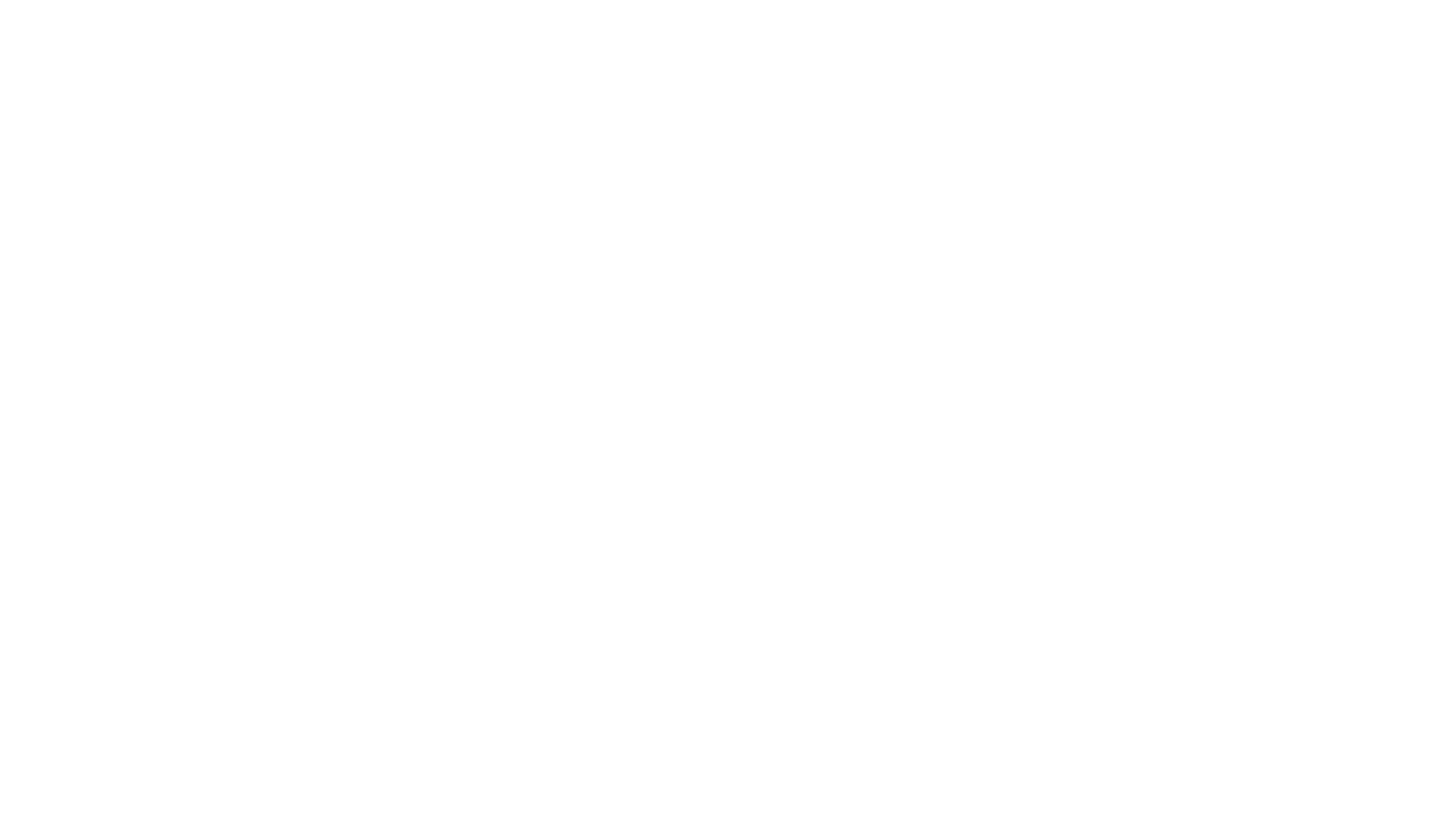 liz (1)